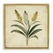 Stupell Industries Vintage Yellow Wheat Illustration Floating Frame, design by Petal Prints Design